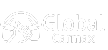 Global Carmax